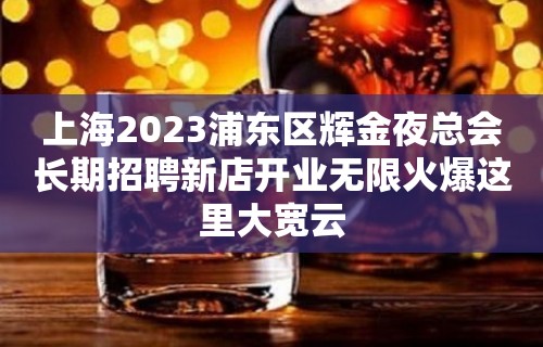 上海2023浦东区辉金夜总会长期招聘新店开业无限火爆这里大宽云