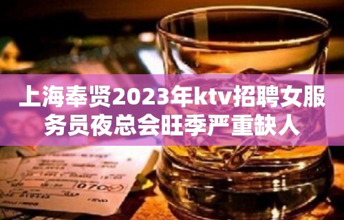 上海奉贤2023年ktv招聘女服务员夜总会旺季严重缺人