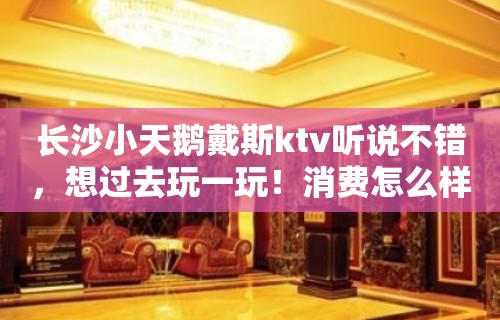 长沙小天鹅戴斯ktv听说不错，想过去玩一玩！消费怎么样