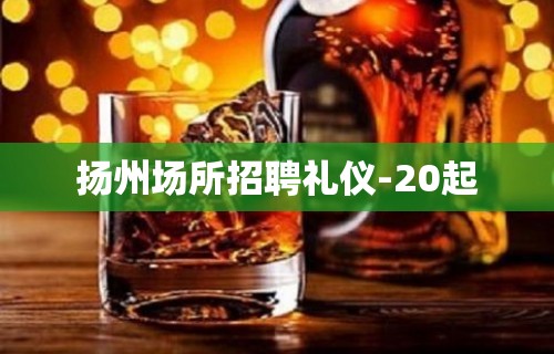 扬州场所招聘礼仪-20起