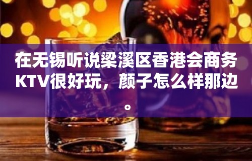 在无锡听说梁溪区香港会商务KTV很好玩，颜子怎么样那边。