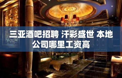 三亚酒吧招聘 汗彩盛世 本地公司哪里工资高