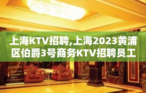 上海KTV招聘,上海2023黄浦区伯爵3号商务KTV招聘员工