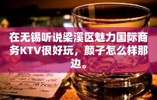 在无锡听说梁溪区魅力国际商务KTV很好玩，颜子怎么样那边。