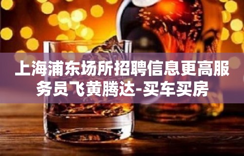 上海浦东场所招聘信息更高服务员飞黄腾达-买车买房