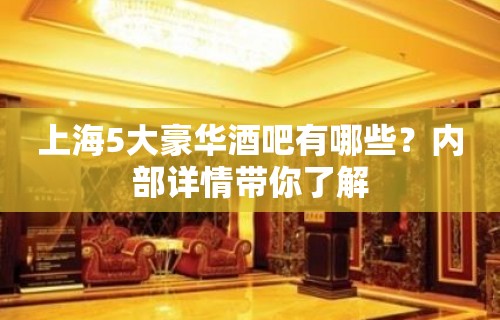 上海5大豪华酒吧有哪些？内部详情带你了解