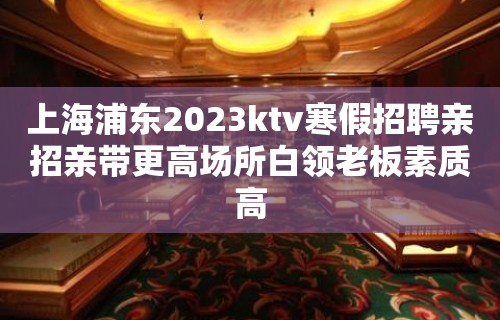 上海浦东2023ktv寒假招聘亲招亲带更高场所白领老板素质高