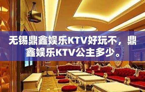 无锡鼎鑫娱乐KTV好玩不，鼎鑫娱乐KTV公主多少。