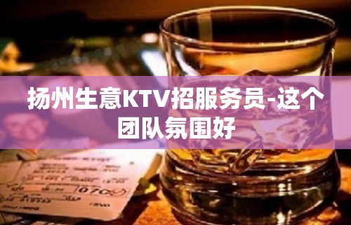 扬州生意KTV招服务员-这个团队氛围好