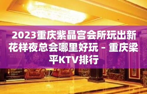 2023重庆紫晶宫会所玩出新花样夜总会哪里好玩 – 重庆梁平KTV排行