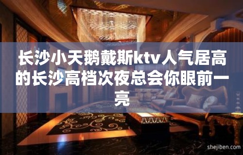 长沙小天鹅戴斯ktv人气居高的长沙高档次夜总会你眼前一亮