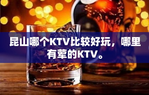 昆山哪个KTV比较好玩，哪里有荤的KTV。