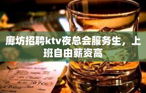 廊坊招聘ktv夜总会服务生，上班自由薪资高