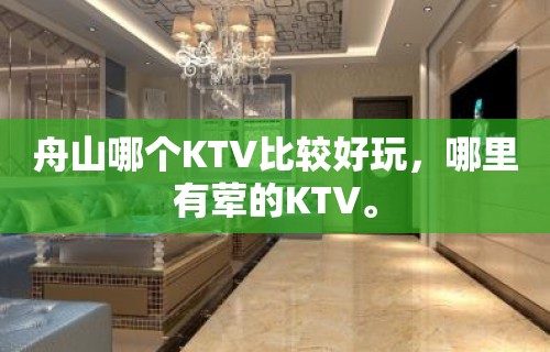 舟山哪个KTV比较好玩，哪里有荤的KTV。