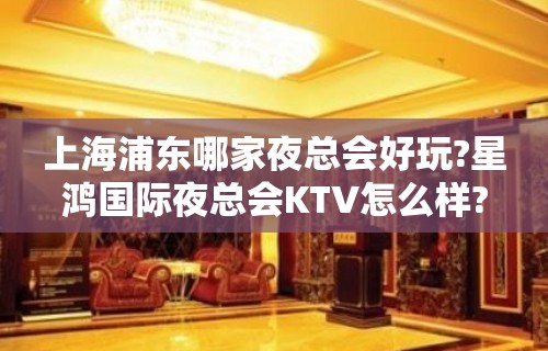 上海浦东哪家夜总会好玩?星鸿国际夜总会KTV怎么样?