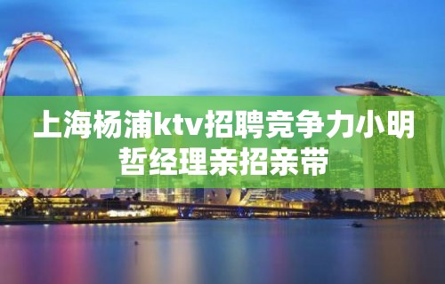 上海杨浦ktv招聘竞争力小明哲经理亲招亲带