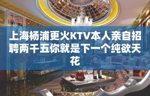 上海杨浦更火KTV本人亲自招聘两千五你就是下一个纯欲天花