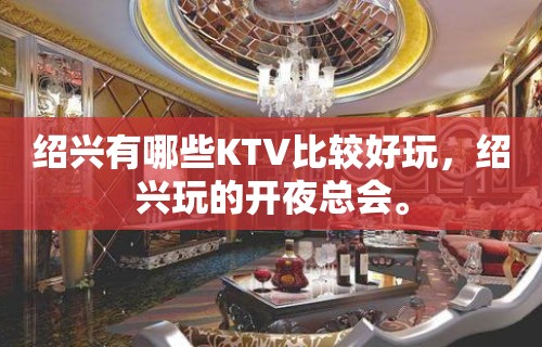 绍兴有哪些KTV比较好玩，绍兴玩的开夜总会。