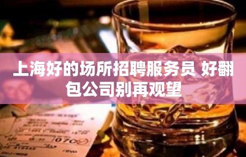 上海好的场所招聘服务员 好翻包公司别再观望