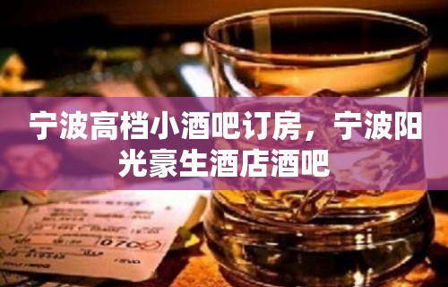 宁波高档小酒吧订房，宁波阳光豪生酒店酒吧