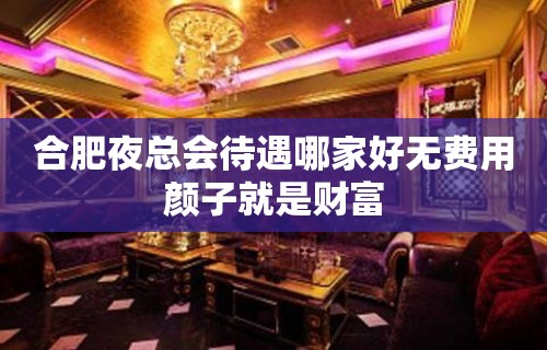 合肥夜总会待遇哪家好无费用颜子就是财富