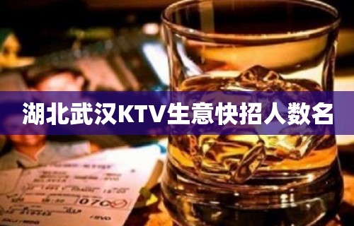 湖北武汉KTV生意快招人数名