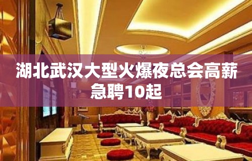 湖北武汉大型火爆夜总会高薪急聘10起