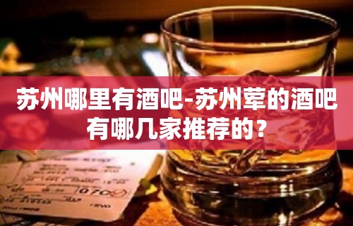 苏州哪里有酒吧-苏州荤的酒吧有哪几家推荐的？