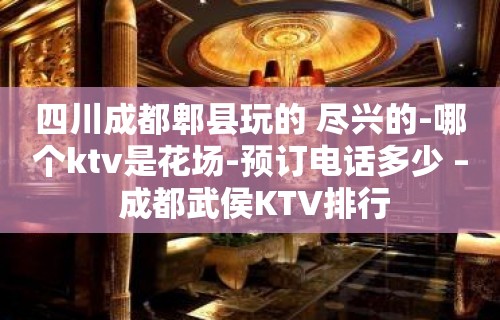 四川成都郫县玩的 尽兴的-哪个ktv是花场-预订电话多少 – 成都武侯KTV排行