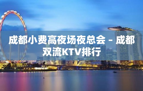 成都小费高夜场夜总会 – 成都双流KTV排行