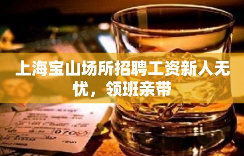 上海宝山场所招聘工资新人无忧，领班亲带