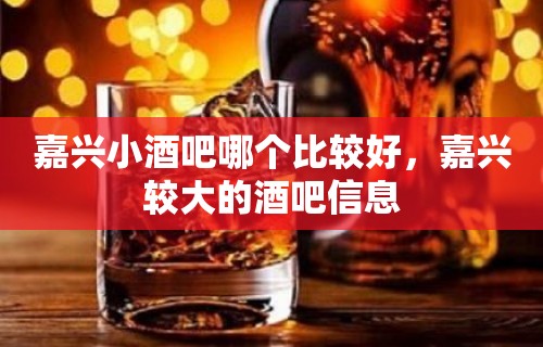 嘉兴小酒吧哪个比较好，嘉兴较大的酒吧信息