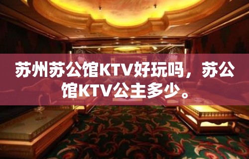 苏州苏公馆KTV好玩吗，苏公馆KTV公主多少。