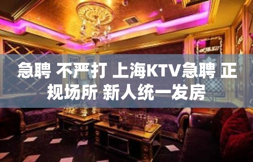 急聘 不严打 上海KTV急聘 正规场所 新人统一发房