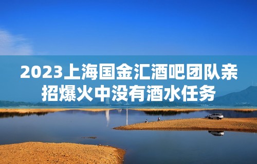 2023上海国金汇酒吧团队亲招爆火中没有酒水任务