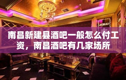 南昌新建县酒吧一般怎么付工资，南昌酒吧有几家场所