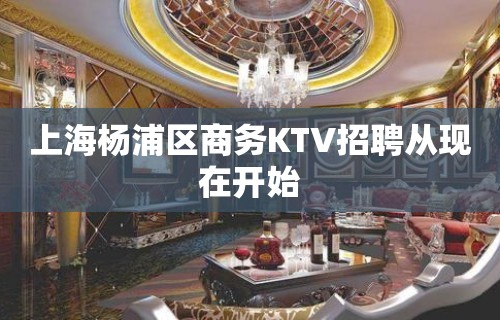 上海杨浦区商务KTV招聘从现在开始