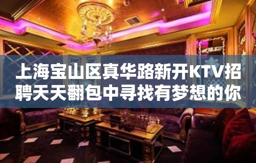 上海宝山区真华路新开KTV招聘天天翻包中寻找有梦想的你