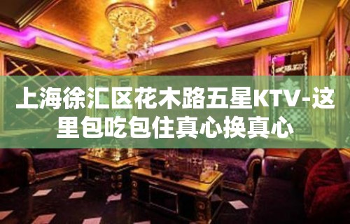 上海徐汇区花木路五星KTV-这里包吃包住真心换真心