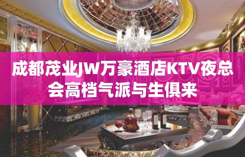 成都茂业JW万豪酒店KTV夜总会高档气派与生俱来