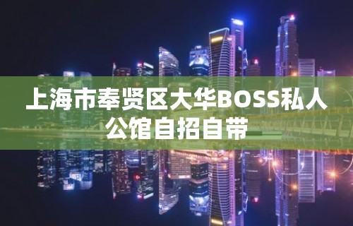 上海市奉贤区大华BOSS私人公馆自招自带