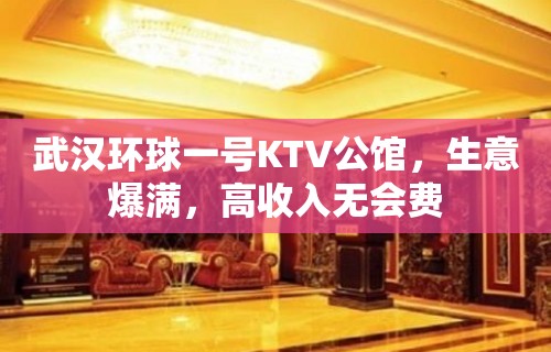 武汉环球一号KTV公馆，生意爆满，高收入无会费