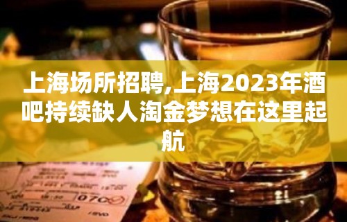 上海场所招聘,上海2023年酒吧持续缺人淘金梦想在这里起航