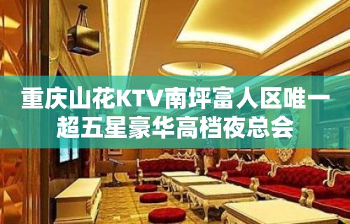 重庆山花KTV南坪富人区唯一超五星豪华高档夜总会