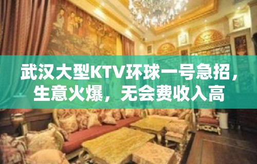 武汉大型KTV环球一号急招，生意火爆，无会费收入高