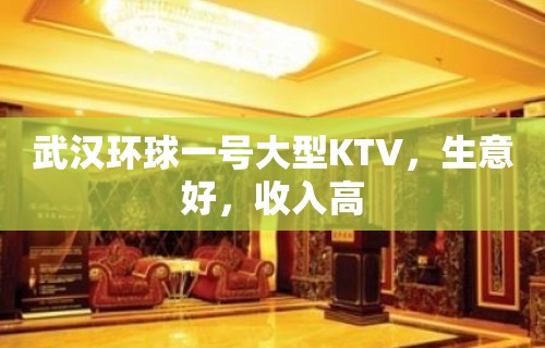 武汉环球一号大型KTV，生意好，收入高