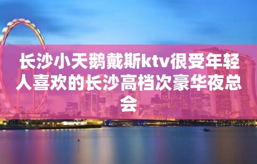 长沙小天鹅戴斯ktv很受年轻人喜欢的长沙高档次豪华夜总会