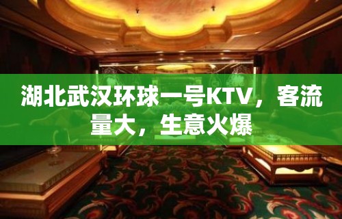 湖北武汉环球一号KTV，客流量大，生意火爆