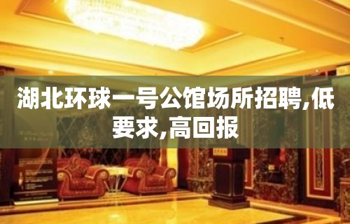 湖北环球一号公馆场所招聘,低要求,高回报