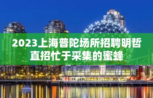 2023上海普陀场所招聘明哲直招忙于采集的蜜蜂